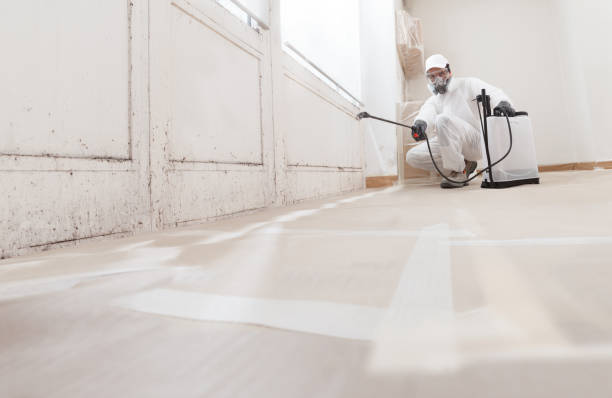 24/7 Emergency Mold Removal experts in Fort Eustis, VA